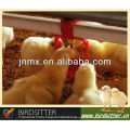 Ready Sale Automatic water trough for hens